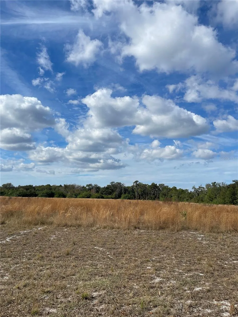 14421 SEMINOLE TRAIL Wimauma, FL 33598