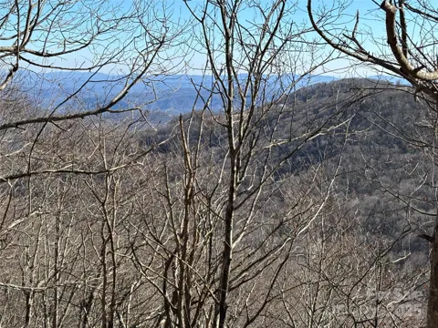 TBD State View Road