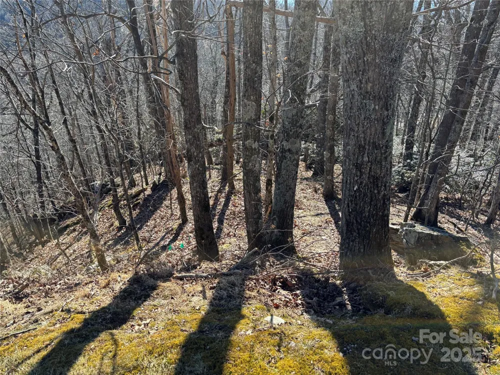 TBD State View Road Boone, NC 28607