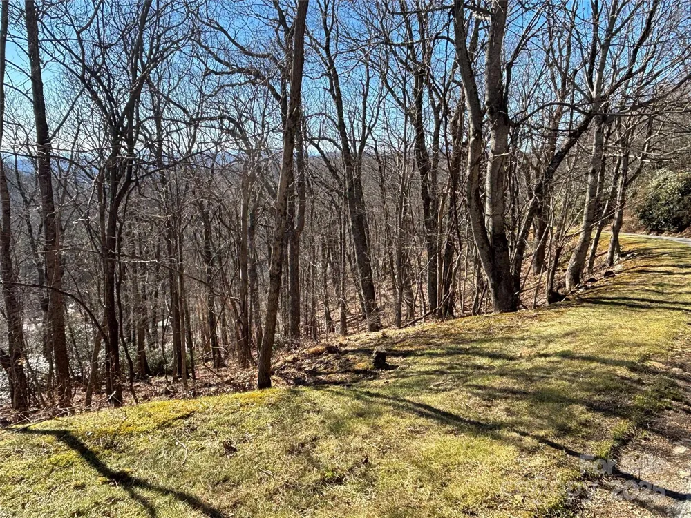 TBD State View Road Boone, NC 28607