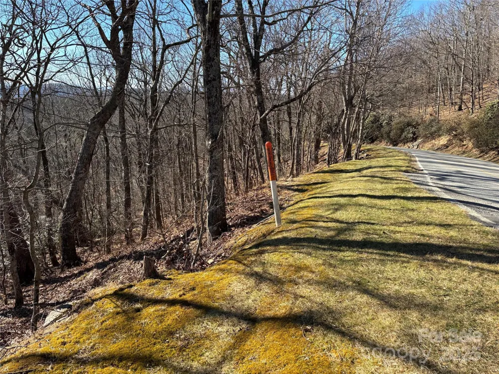 TBD State View Road Boone, NC 28607
