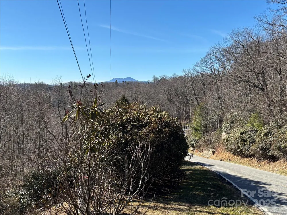 TBD State View Road Boone, NC 28607
