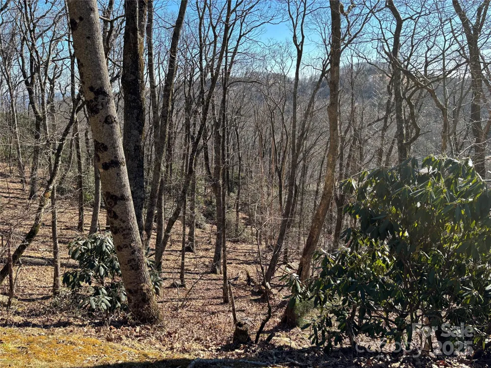TBD State View Road Boone, NC 28607