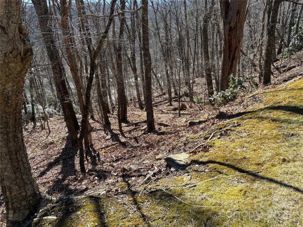 TBD State View Road Boone, NC 28607