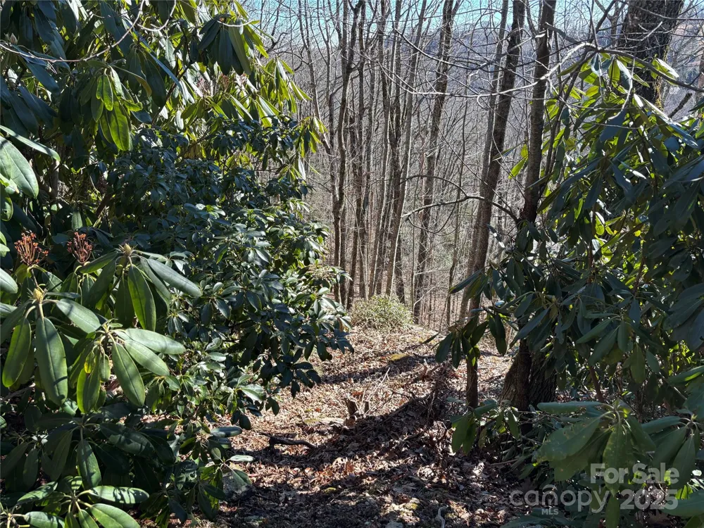 TBD State View Road Boone, NC 28607