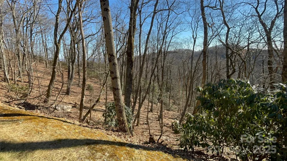 TBD State View Road Boone, NC 28607