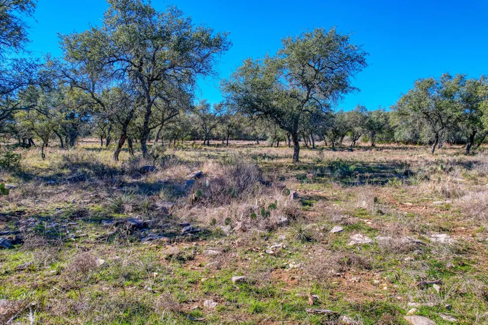 415 Longview Lane San Saba, TX 76877