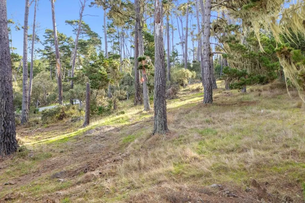 2901 Bird Rock Road Pebble Beach, CA 93953