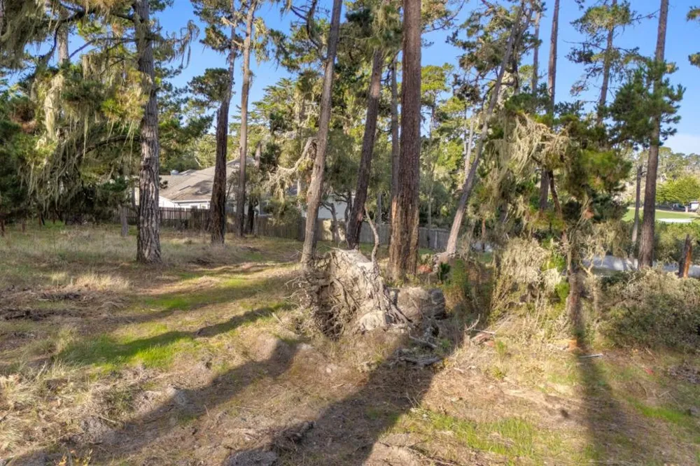 2901 Bird Rock Road Pebble Beach, CA 93953