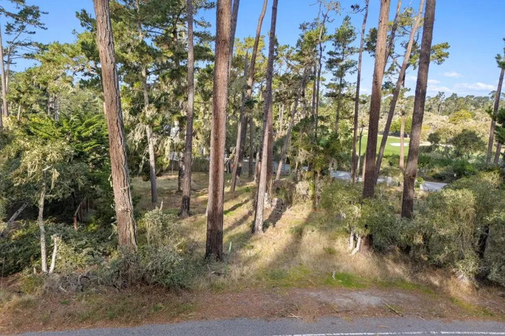 2901 Bird Rock Road Pebble Beach, CA 93953