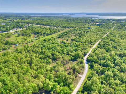 Forest Drive