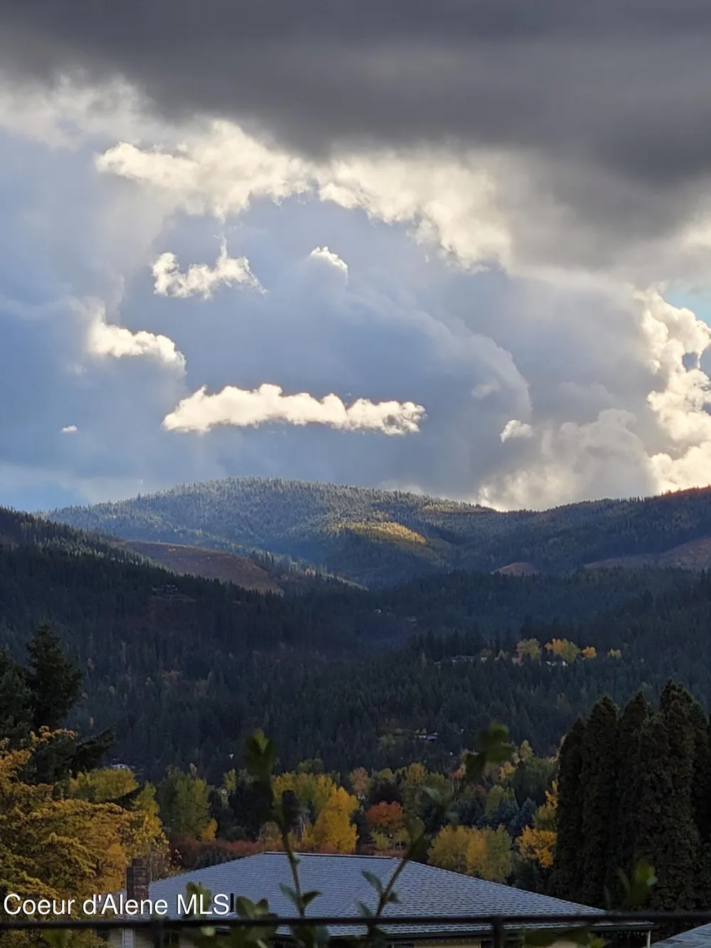 87705 Highway 3 St. Maries, ID 83861