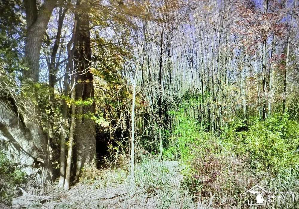 49570 Bog Road Van Buren Charter Township, MI 48111