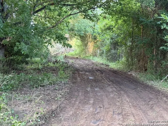 500 Cr 388 Gonzales, TX 78629