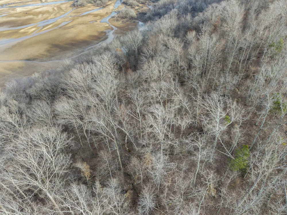 0 Toms Creek Rd Linden, TN 37096
