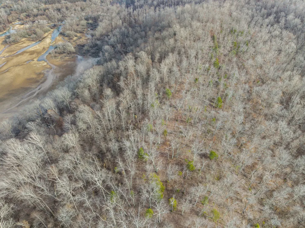 0 Toms Creek Rd Linden, TN 37096