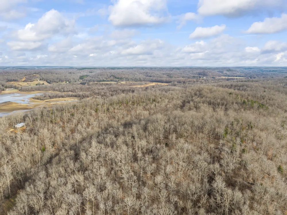 0 Toms Creek Rd Linden, TN 37096