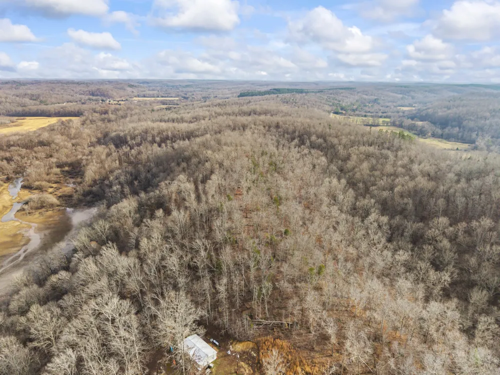 0 Toms Creek Rd Linden, TN 37096