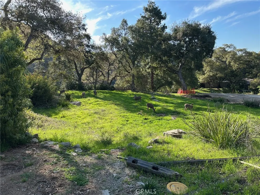 976 Ridgeside Monrovia, CA 91016