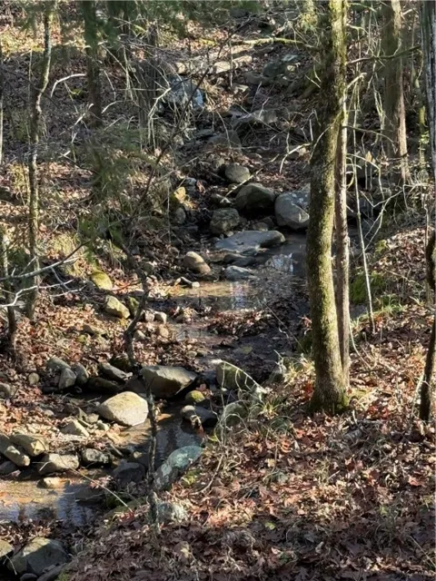 Nebo Acres Road