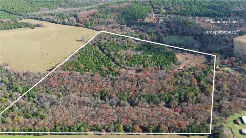 9943 Rough Branch Road