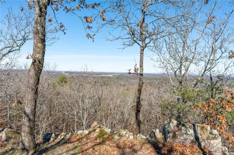 Bear Hollow Road