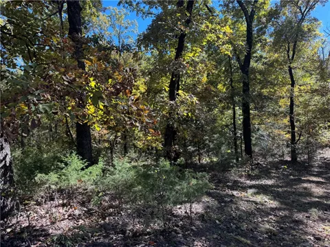 1 W 867 ROAD