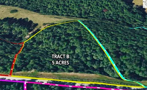 Tract B County Road 516