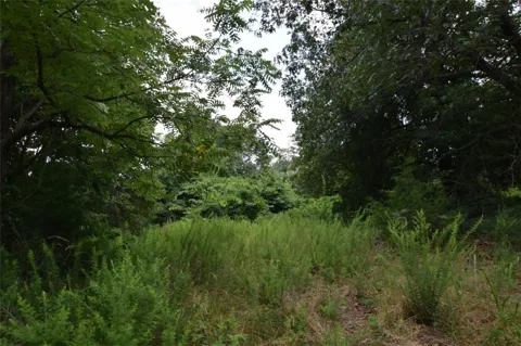 36321 HWY 20