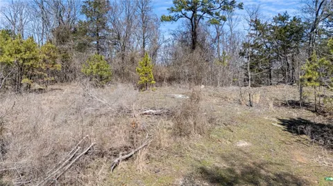 Sims Hollow Road