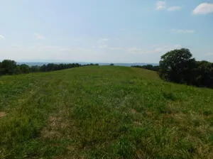 Mt Hersey Road