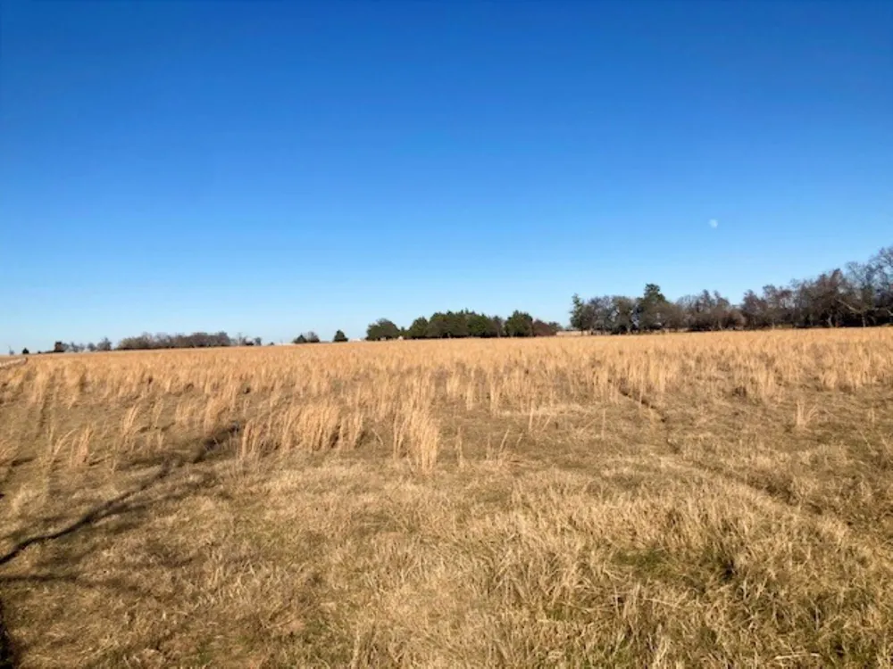Dugan Chapel Road Bells, TX 75414