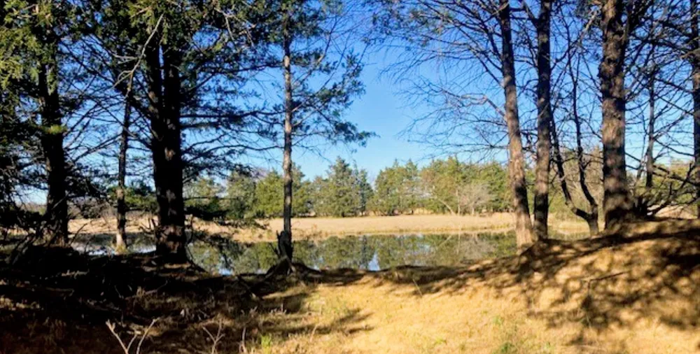 Dugan Chapel Road Bells, TX 75414