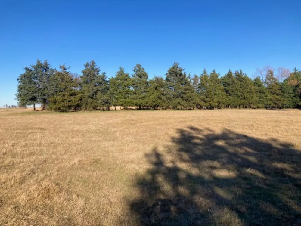 Dugan Chapel Road Bells, TX 75414