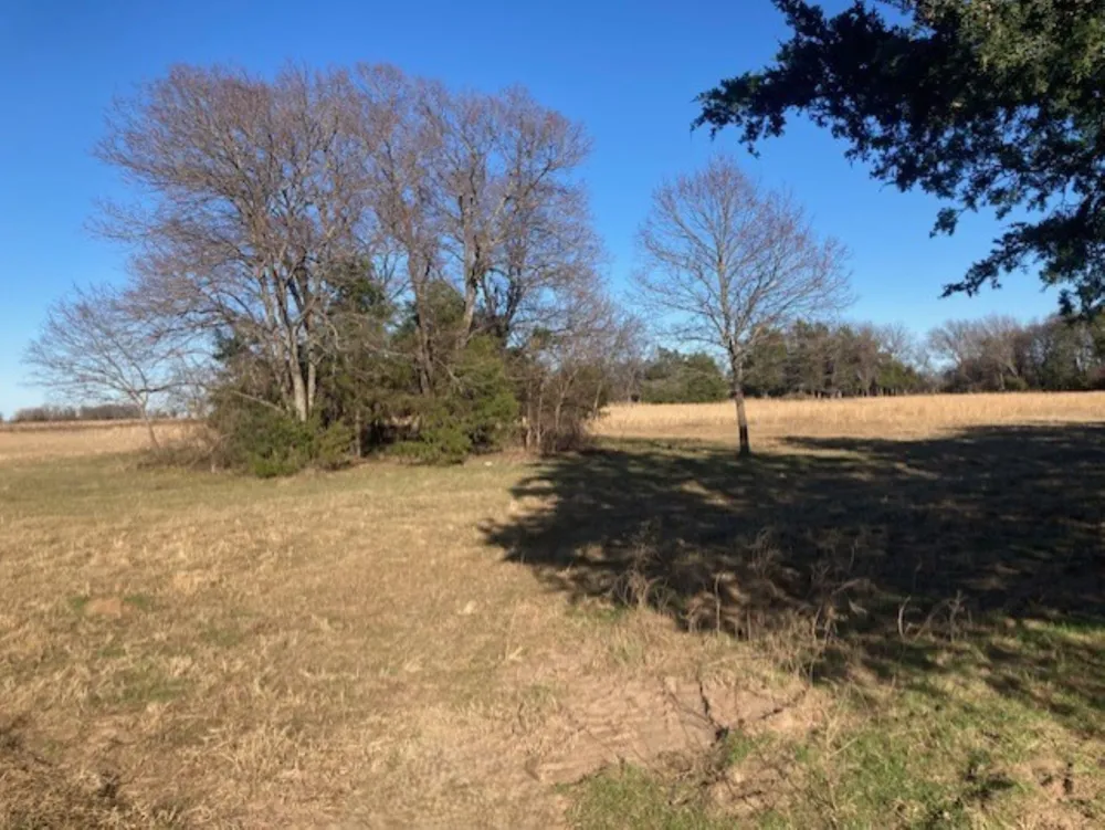 Dugan Chapel Road Bells, TX 75414