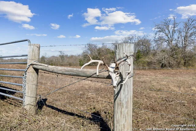 3424 Post Oak Point New Ulm, TX 78950
