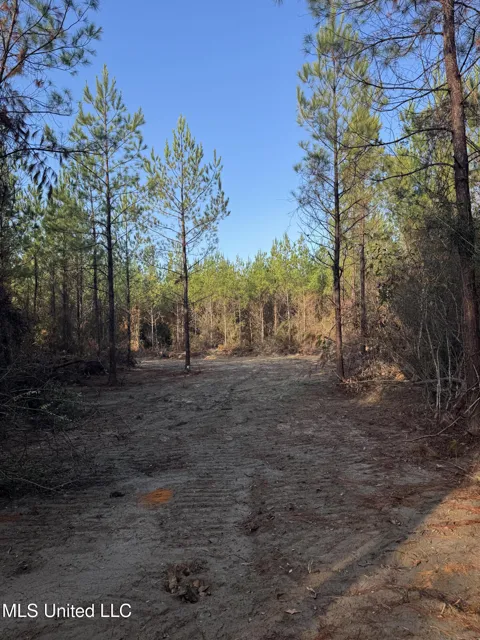 Pat Hickman Road