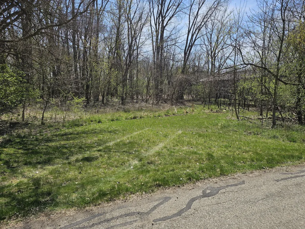 Webber Street Ionia, MI 48846