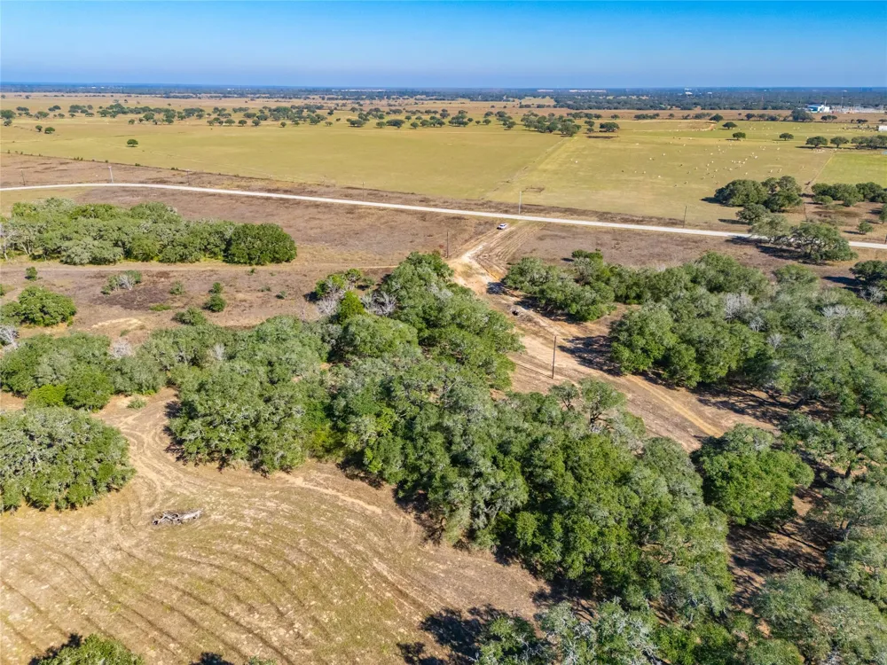 1293 Pintail Rock Island, TX 78934