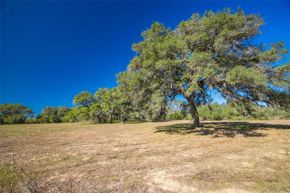 1293 Pintail Rock Island, TX 78934