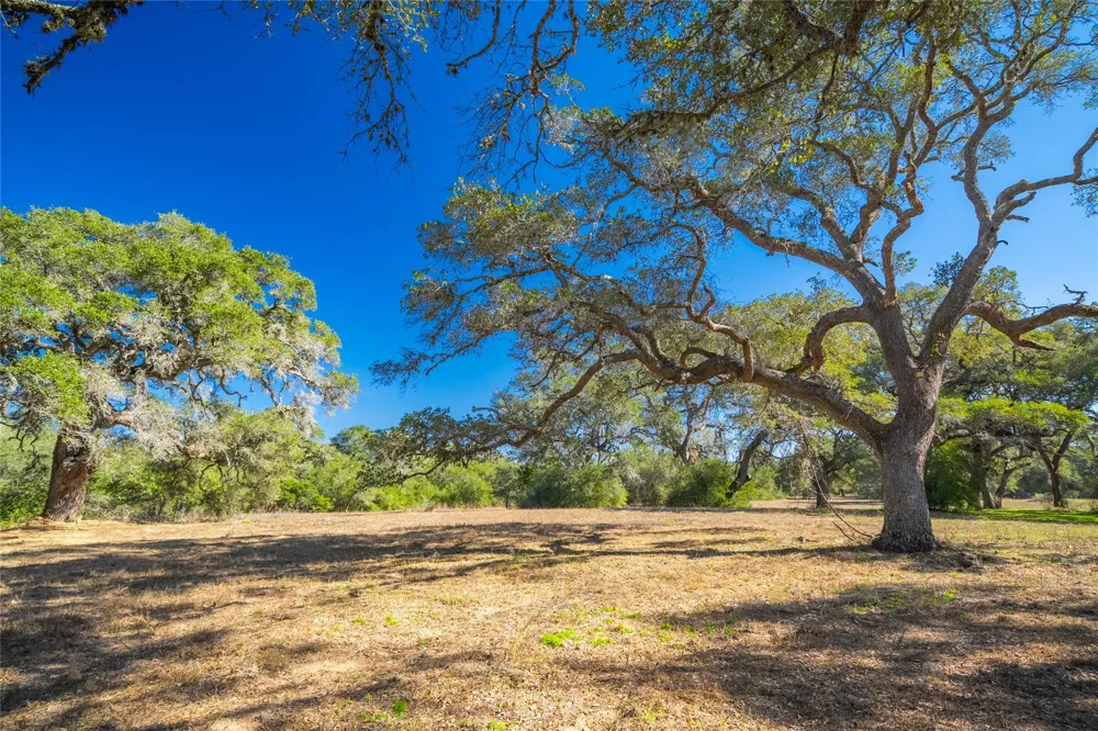 1293 Pintail Rock Island, TX 78934