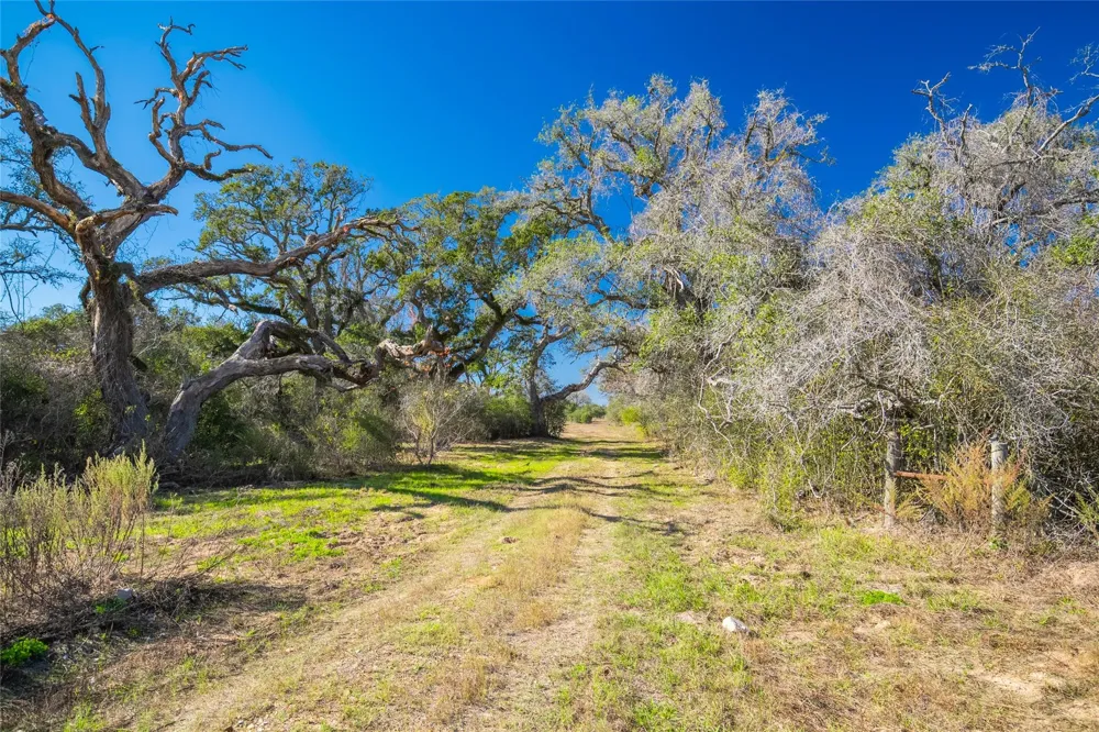1293 Pintail Rock Island, TX 78934