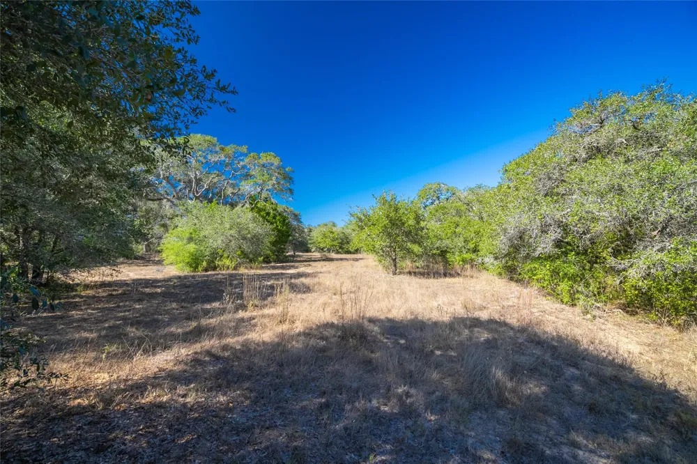 1293 Pintail Rock Island, TX 78934