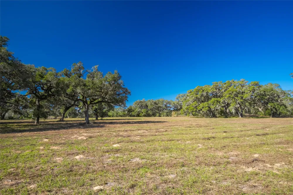 1293 Pintail Rock Island, TX 78934