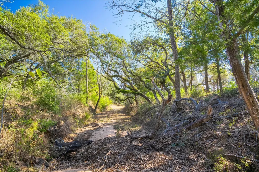 1293 Pintail Rock Island, TX 78934