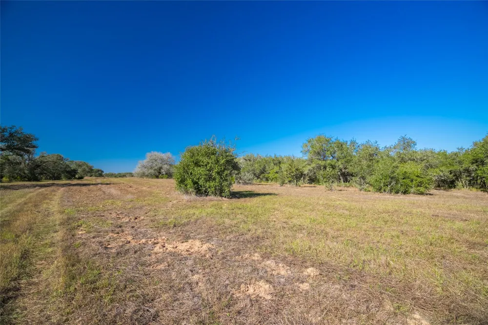 1293 Pintail Rock Island, TX 78934
