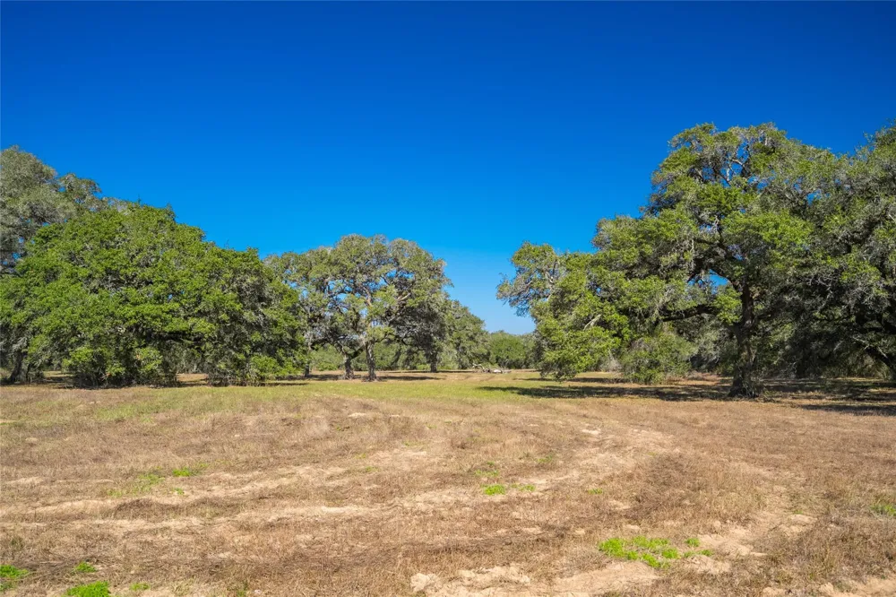 1293 Pintail Rock Island, TX 78934