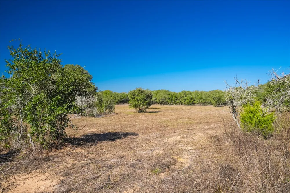 1293 Pintail Rock Island, TX 78934