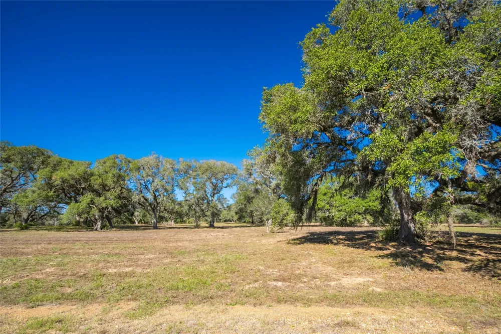 1293 Pintail Rock Island, TX 78934