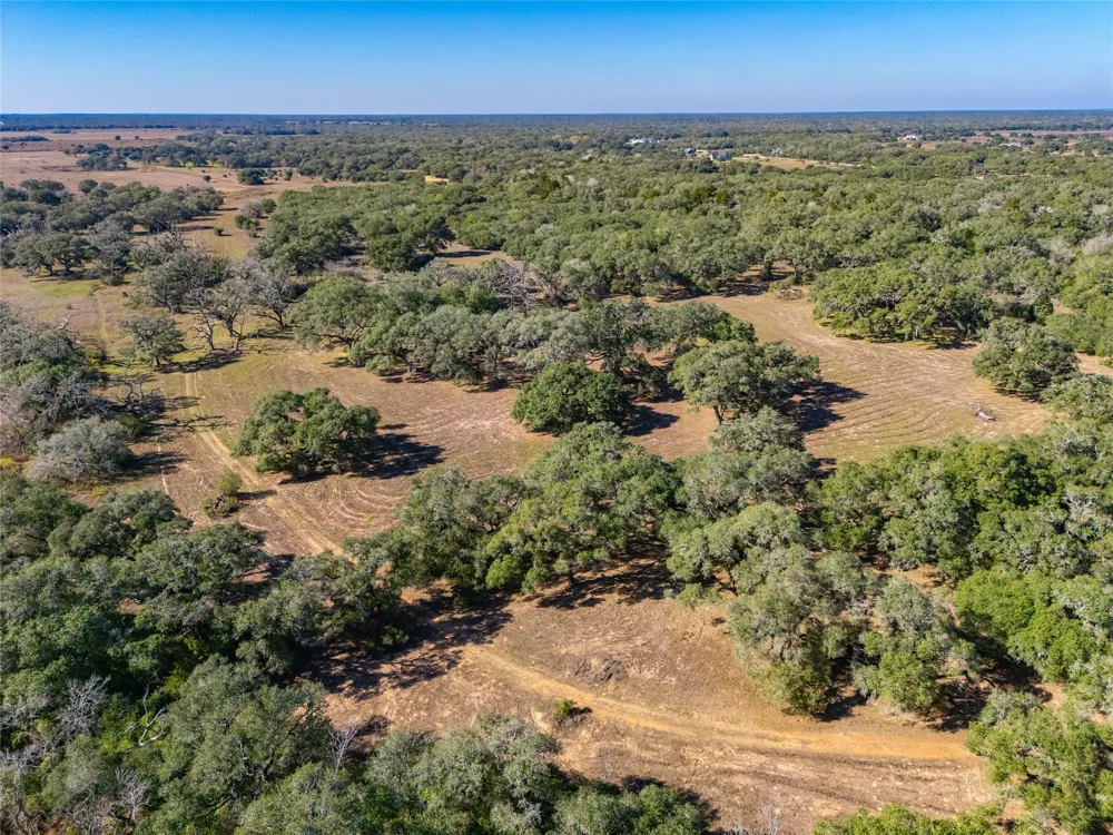 1293 Pintail Rock Island, TX 78934
